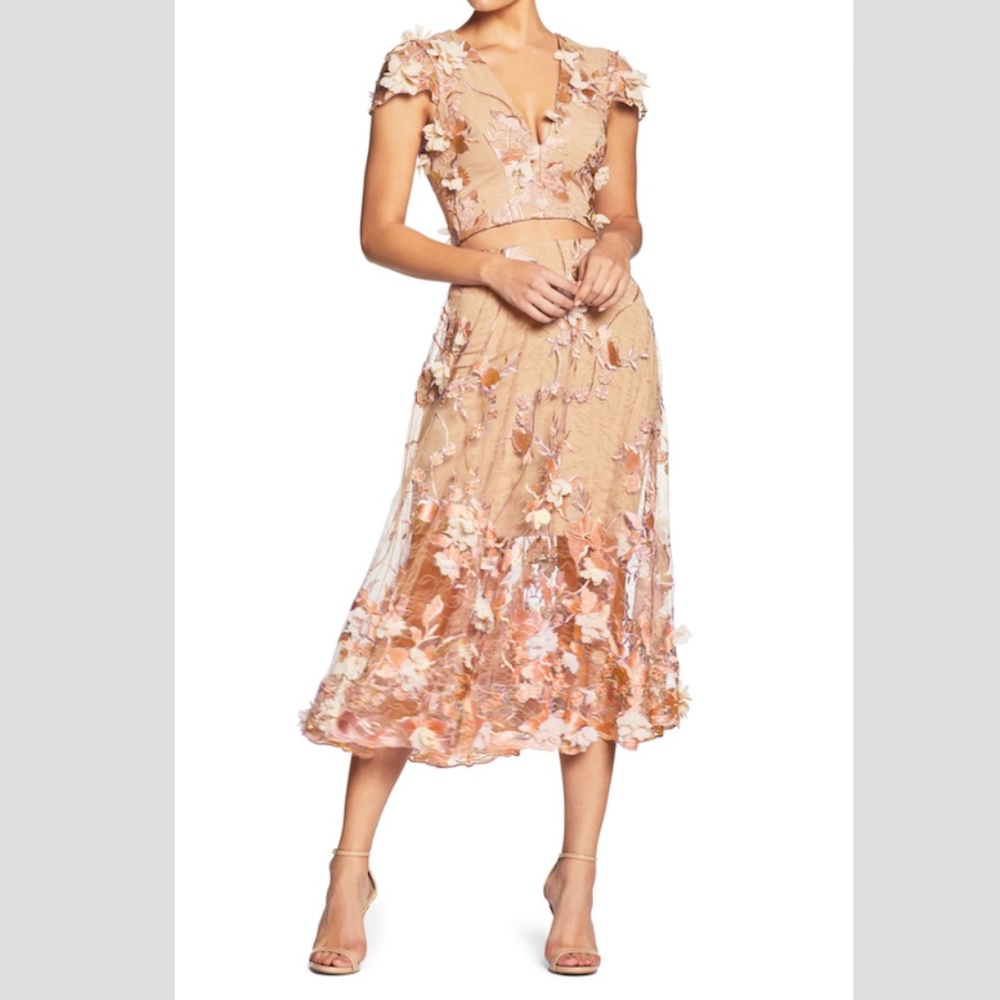 Dress The Population Julian 3D Lace 2pc Dress